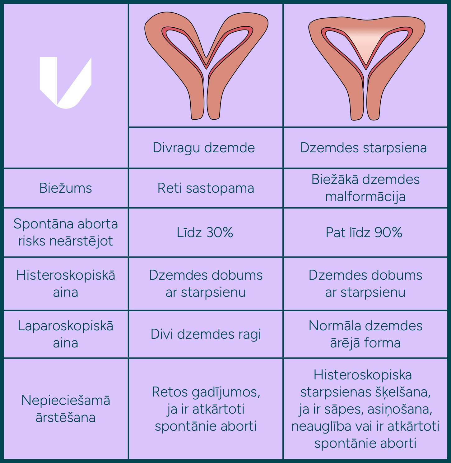 Atšķirība starp dzemdes starpsienu un divragu dzemdi